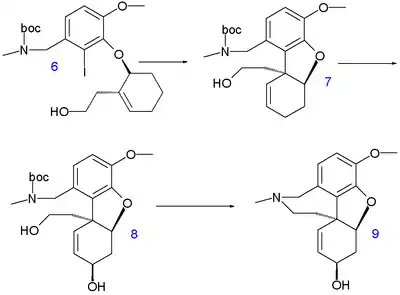 Galanthamine synthesis 2007 B