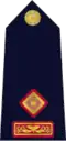 Rank insignia of Garda Superintendent