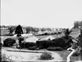 Garden, Nindooinbah Station, ca 1924