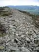 Garn Boduan Hillfort - geograph.org.uk - 276317.jpg