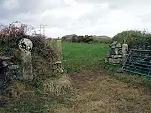 Fig. d28: a cross near Down's Barn Farm, St Buryan