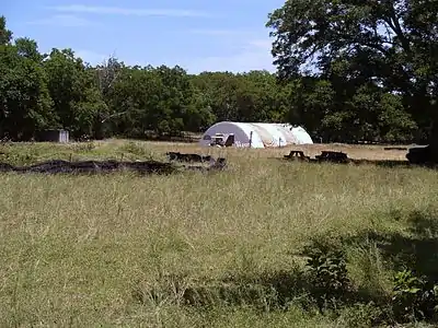 Gault Archaeological Site