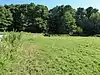 Geldeston Meadows