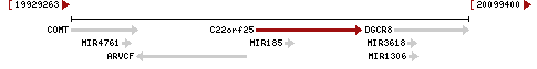 Gene Neighborhood of C22orf25