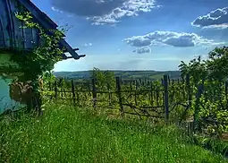 Landscape in Zala county, near Söjtör