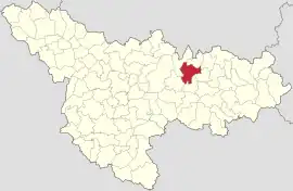 Location in Timiș County