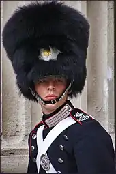 Bearskin