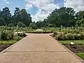 Gladney Rose Garden at the Missouri Botanical Garden in 2023