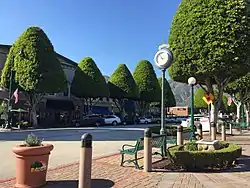 Glendora Village with Ficus trees