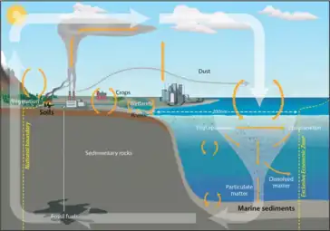 The implications of shifts in the global carbon cycle due to human activity are concerning scientists.