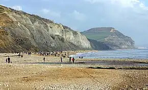 Cliffs in the distance, seashore in the foreground