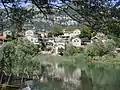 Dodoši, Skadar lake