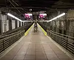 Train shed platform and tracks