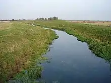 Almost stationary water in a narrow stream in a flat landscape