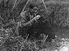 A crouching man in buckskins, Grey Owl, feeds a jelly roll to a standing beaver.