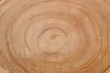 Tree rings