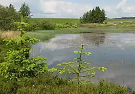 Gryfe Reservoir, Close to Loch Thom.