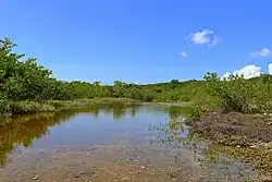 Guánica State Forest in Boca, the Guayanilla side of the forest