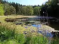 Hütter Klosterteiche Nature Reserve