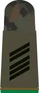 Oberstabsgefreiter FA(Army corporal sergeant aspirant, Mountain Infantry, field uniform mounting strap)