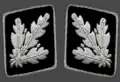 Gorget patches 1942–1945(Allgemeine SS and Waffen-SS)