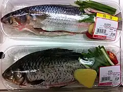 Fresh fish in plastic shrink-wrapped tray