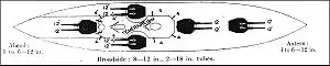 Image 37A plan of Bellerophon (1907) showing the armament distribution of early British dreadnoughts. The main battery is in twin turrets, with two on the "wings"; the light secondary battery is clustered around the superstructure. (from Dreadnought)