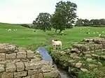 Roman Wall, west of former vicarage