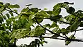 At Ananthagiri Hills, in Rangareddy district of Andhra Pradesh, India.