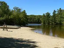 beach at Hale