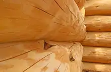 Close-up of new logs in interior house wall