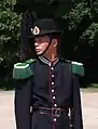 Royal Guardsman in Oslo, Norway