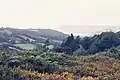 View from Hardown Hill looking west towards the Dorset coast