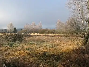 The Fens landscape near the German border