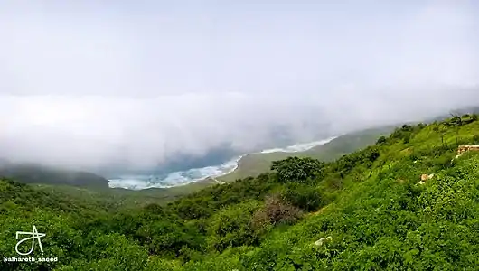 Look from a high point down to the sea, the slope covered by lush vegetation