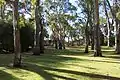 Open space and green grass at the park