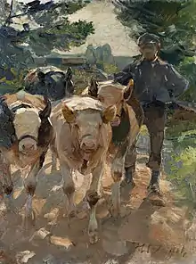 German cow herder driving home the cows