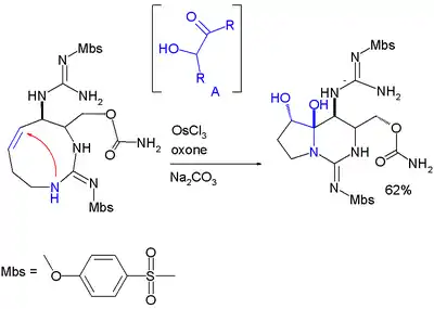 Hemiaminal formation in saxitox in synthesis