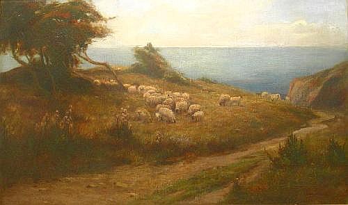 Sheep grazing above Runswick Bay, 1902