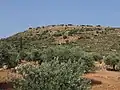 The hill of Bersabe (Kh. Abu esh-Sheba) from western side