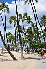 Hilton Hawaiian Village boardwalk