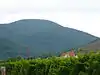 Hochberg near St. Martin (Palatinate): View from the Weinstraße looking west