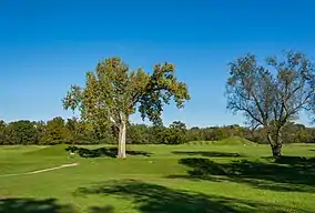  Several earthen mounds and some trees