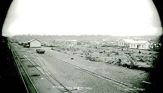 Horopito station about 1910