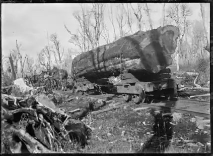 Horse-drawn timber wagon hauling a log to a mill at Horopito in 1921