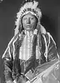 White Eagle's son Horse Chief Eagle served as chief sovereign of the Ponca from 1904 until 1940.