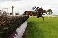 Horse Jump Fence At Bangor-On-Dee Racecourse (8054914143)