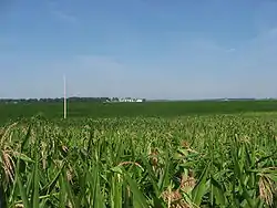 Fields in southeastern Goshen Township