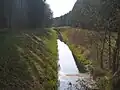 Hullergraben im Naturschutzgebiet Peetscher See