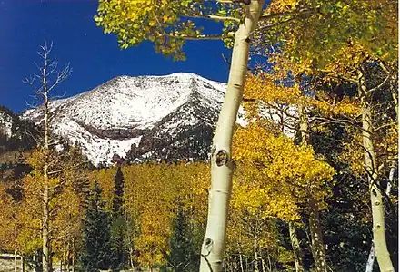 64. Humphreys Peak is the highest summit of the San Francisco Peaks and Arizona.